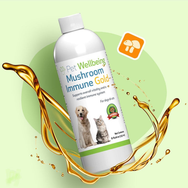 Pet Wellbeing - Mushroom Immune Gold - Holistic Cancer Support (8fl oz / 236ml)