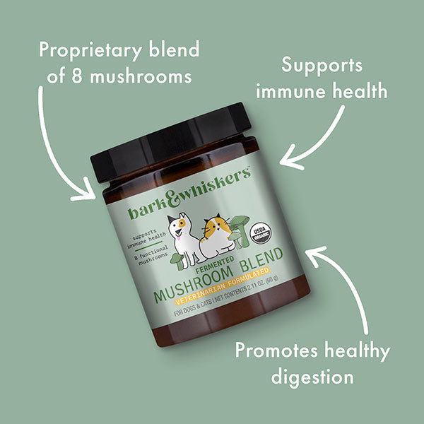 Dr. Mercola | Bark & Whiskers™ Organic Fermented Mushroom Blend for Cats & Dogs (60g)