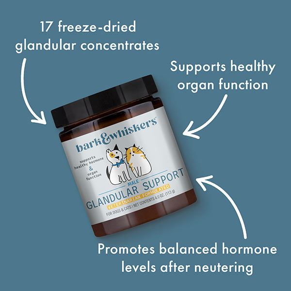 Dr. Mercola | Bark & Whiskers™ Glandular Support for Dogs & Cats - Male (113g)