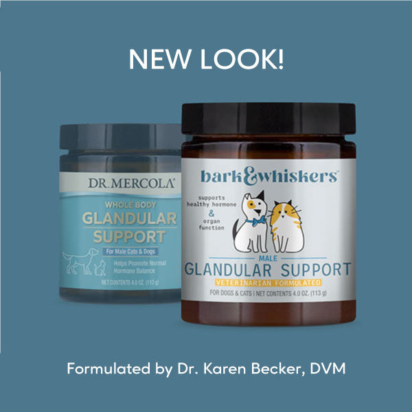 Dr. Mercola | Bark & Whiskers™ Glandular Support for Dogs & Cats - Male (113g)