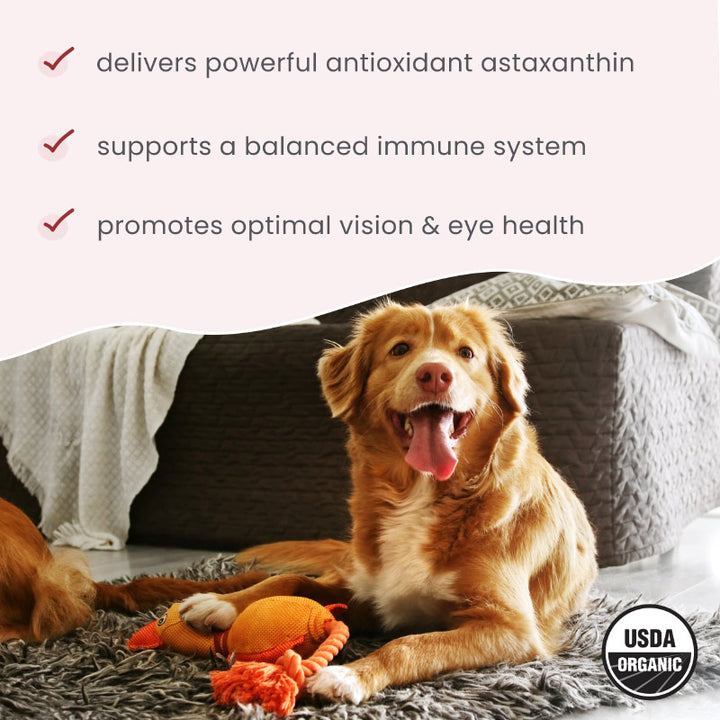 Dr. Mercola Organic Astaxanthin Liquid Pump for Cats & Dogs (43ml)