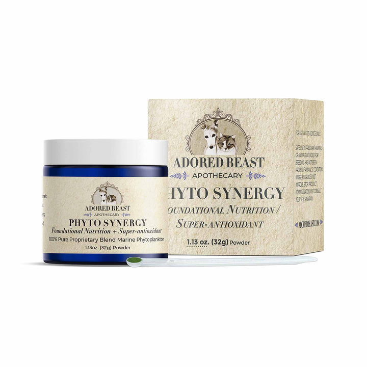Adored Beast Phyto Synergy (15g / 32g) - Super Antioxidant for Dogs & Cats