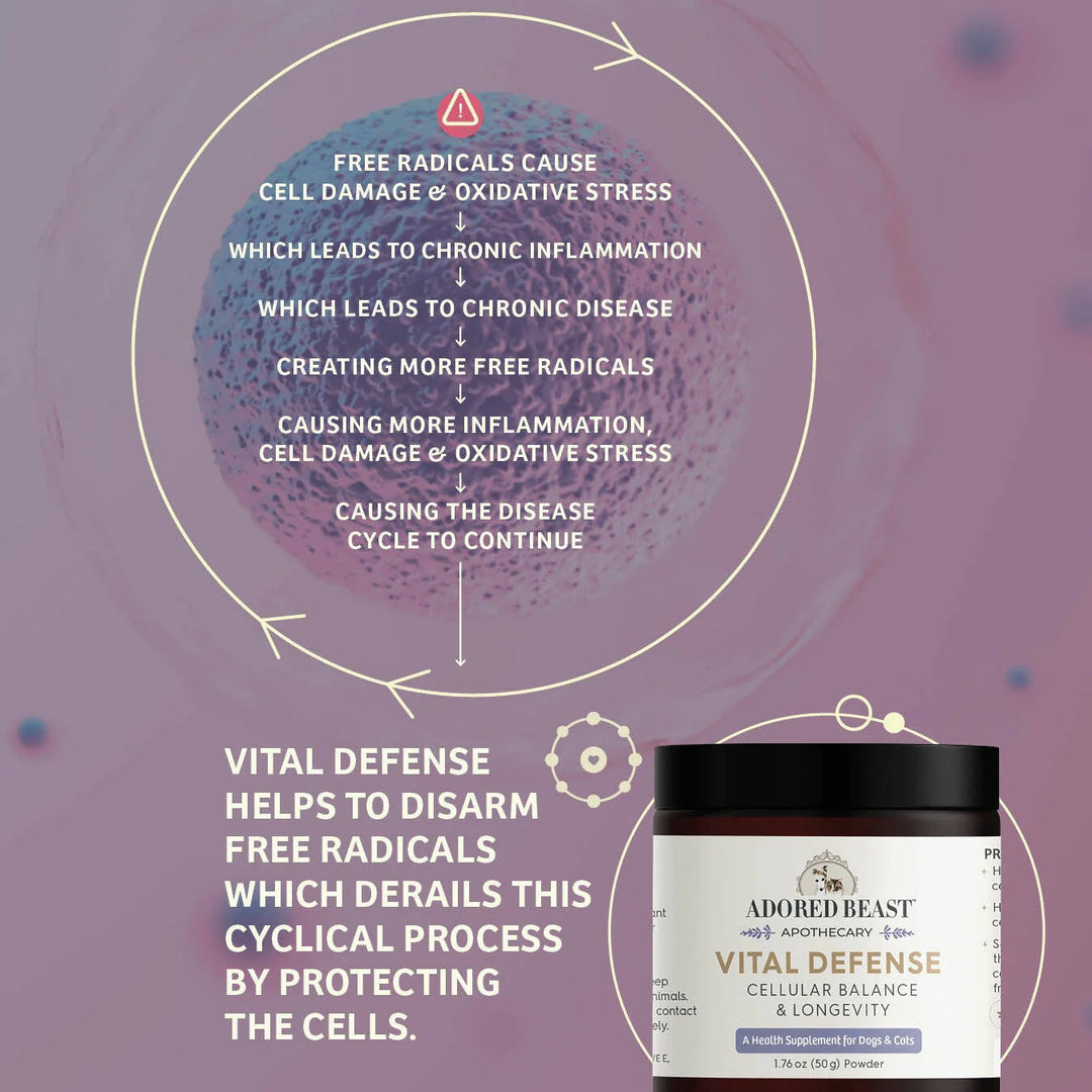 Adored Beast Vital Defense - Cellular Support for Dogs and Cats (50g)