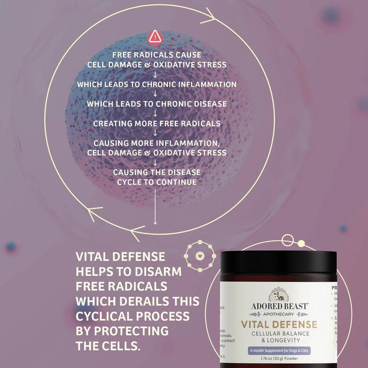 Adored Beast Vital Defense - Cellular Support for Dogs and Cats (50g)