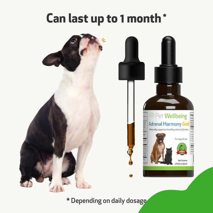 Pet Wellbeing - Adrenal Harmony Gold - for Dog Cushing's