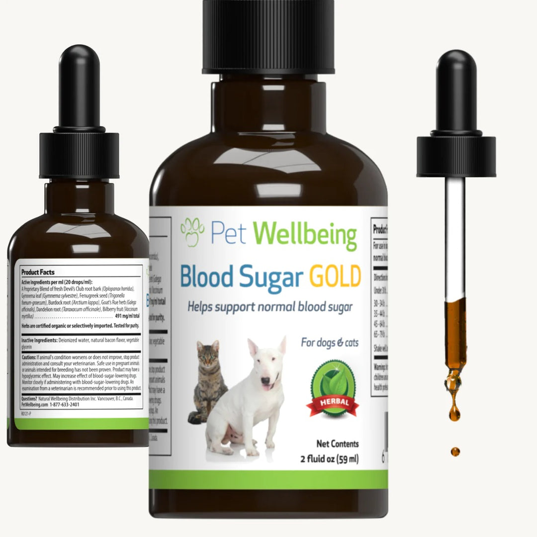 Pet Wellbeing - Blood Sugar Gold - for Dog and Cat Blood Sugar Support