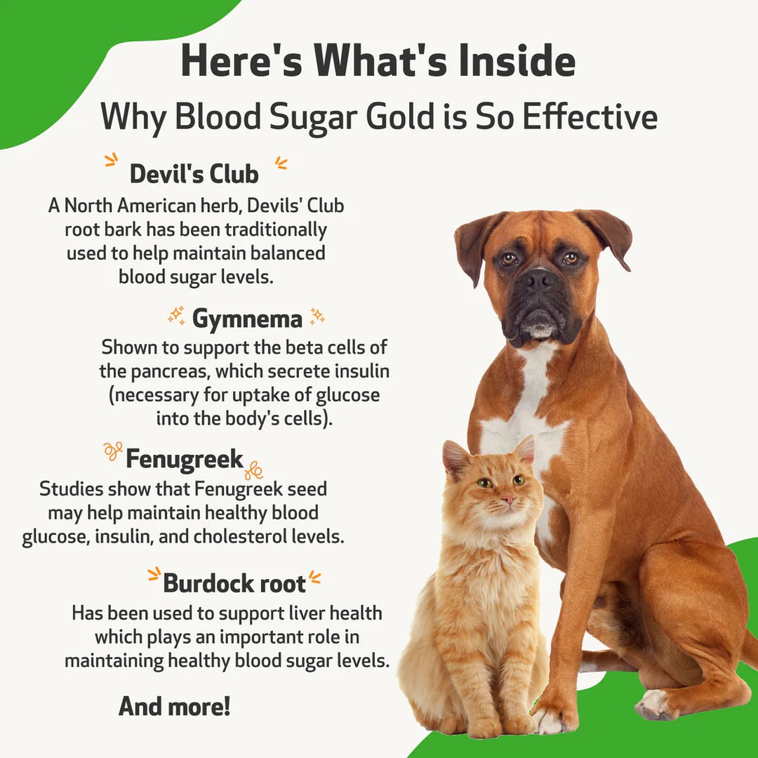 Pet Wellbeing - Blood Sugar Gold - for Dog and Cat Blood Sugar Support