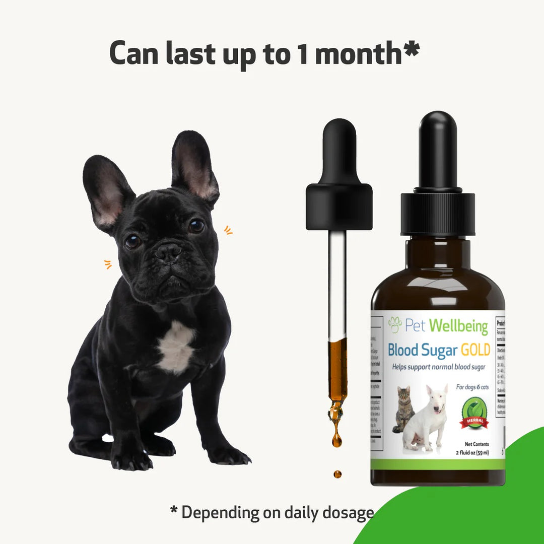 Pet Wellbeing - Blood Sugar Gold - for Dog and Cat Blood Sugar Support