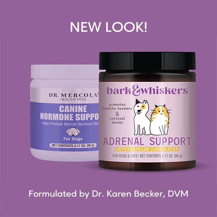 Dr. Mercola | Bark & Whiskers™ Adrenal Support for Dogs & Cats (90g), formally Canine Hormone Support