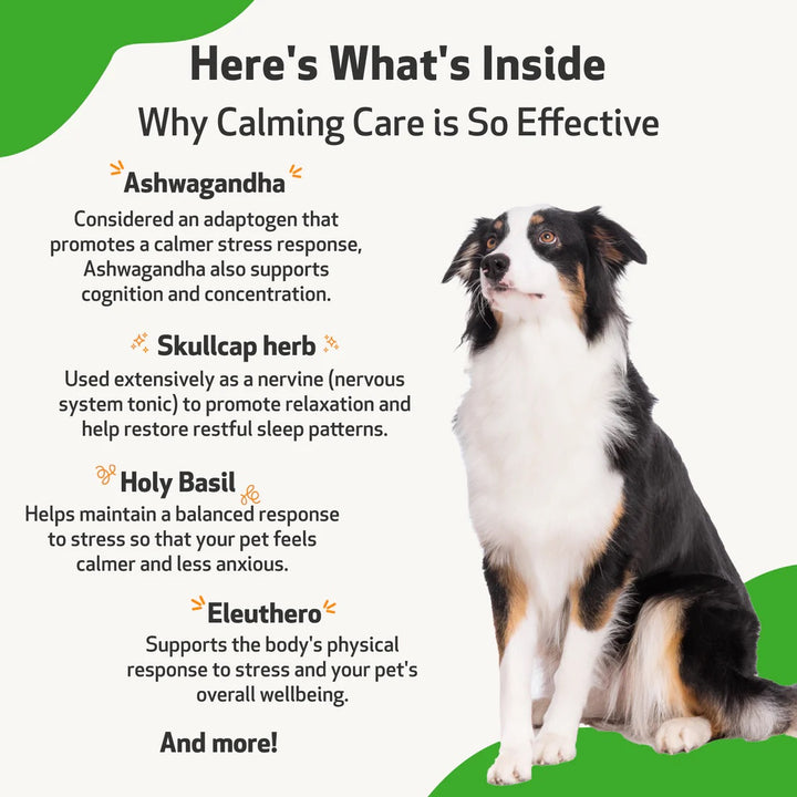 Pet Wellbeing - Calming Care - for Cat & Dog Anxious Behavior (2fl oz / 59ml)