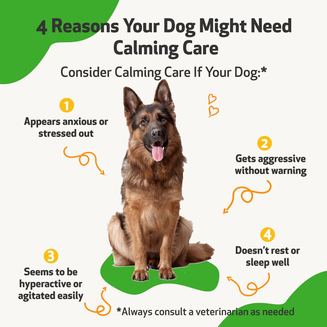 Pet Wellbeing - Calming Care - for Cat & Dog Anxious Behavior (2fl oz / 59ml)