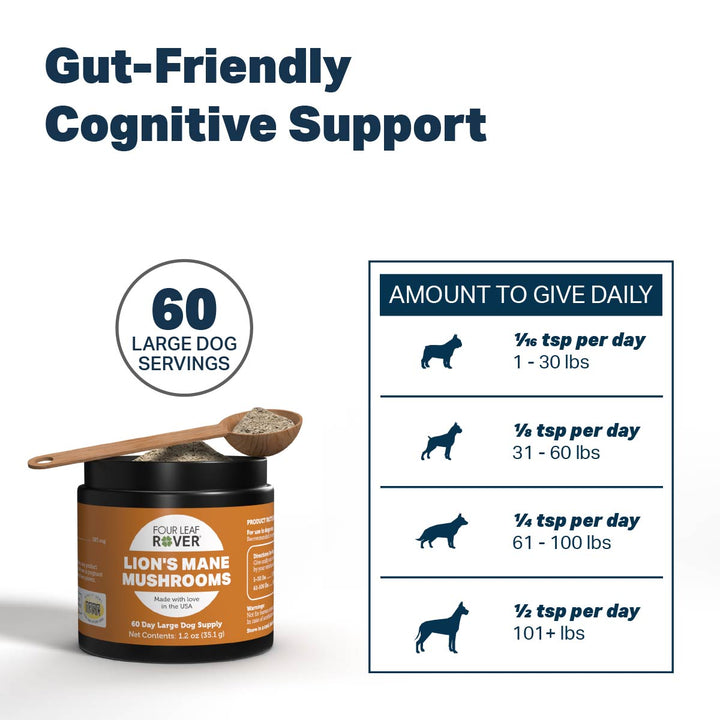 Four Leaf Rover Lion's Mane Mushrooms - Organic Mushroom Extract