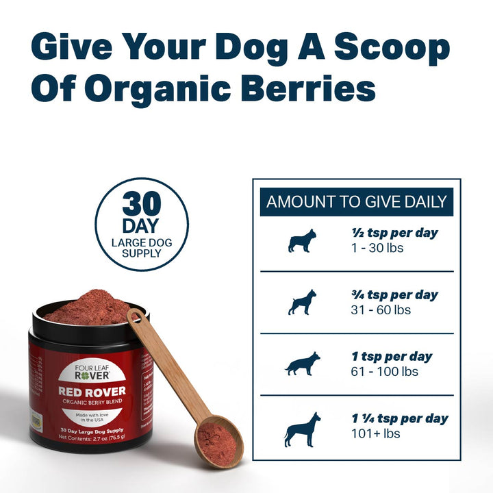 Four Leaf Rover RED ROVER - Organic Berries For Dogs (76.5g)
