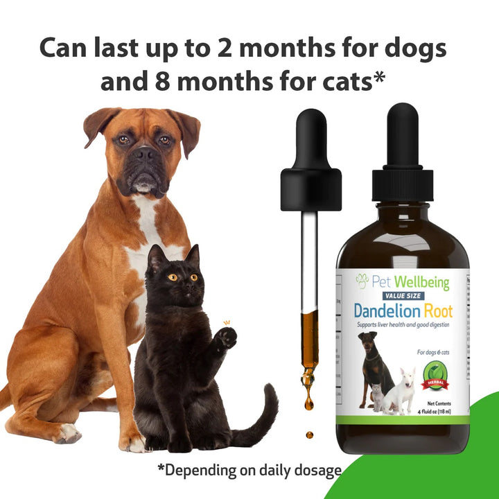 Pet Wellbeing - Dandelion Root - Digestive & Liver Support for Dogs