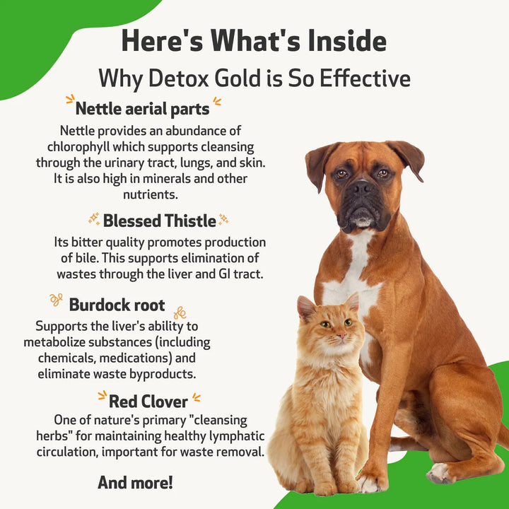 Pet Wellbeing - Detox Gold for Cats & Dogs - Gentle Detoxification & Elimination (59ml / 118ml)