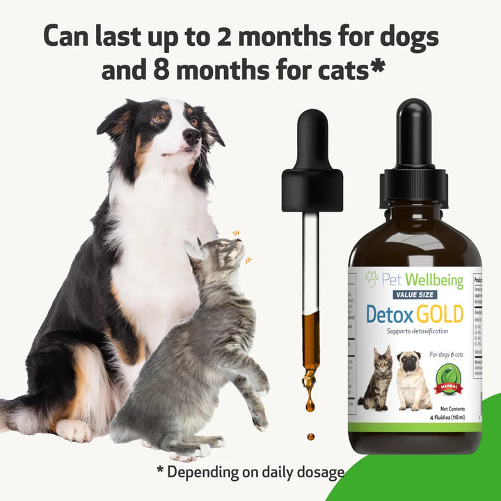 Pet Wellbeing - Detox Gold for Cats & Dogs - Gentle Detoxification & Elimination (59ml / 118ml)