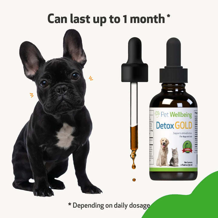 Pet Wellbeing - Detox Gold for Cats & Dogs - Gentle Detoxification & Elimination (59ml / 118ml)