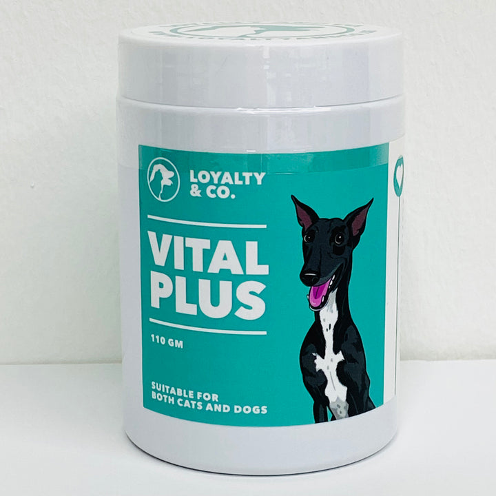 Loyalty & Co. Vital Plus  (110g)