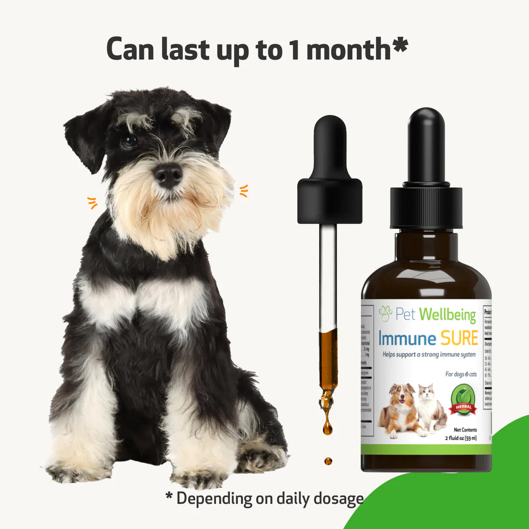 Pet Wellbeing - Immune SURE - for Feline & Canine Immune System Support