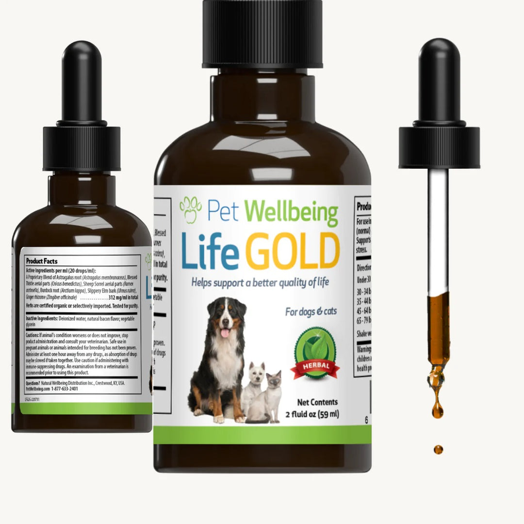 Pet Wellbeing - Life Gold - Trusted Care for Cat & Dog Cancer