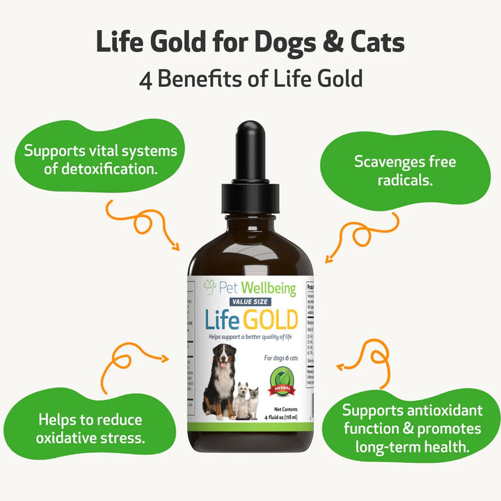 Pet Wellbeing - Life Gold - Trusted Care for Cat & Dog Cancer
