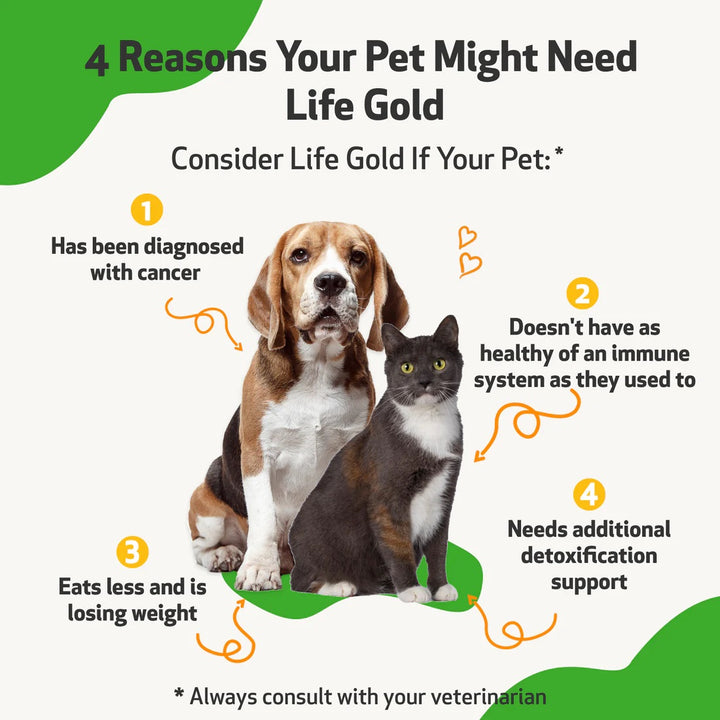Pet Wellbeing - Life Gold - Trusted Care for Cat & Dog Cancer