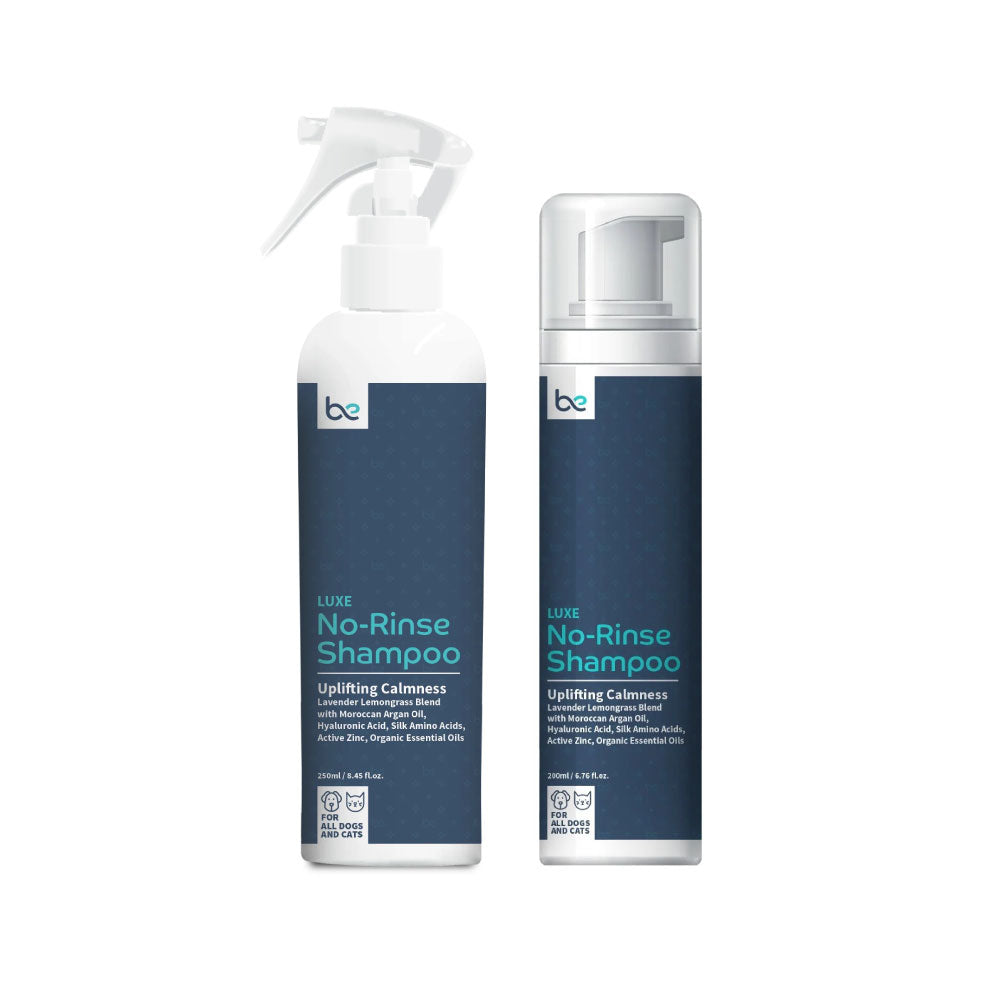 Beyond Clean LUXE No-Rinse Shampoo (Spray / Foaming) - Uplifting Calmness