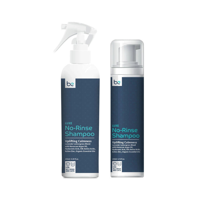 Beyond Clean LUXE No-Rinse Shampoo (Spray / Foaming) - Uplifting Calmness