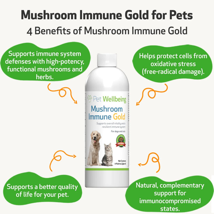 Pet Wellbeing - Mushroom Immune Gold - Holistic Cancer Support (8fl oz / 236ml)