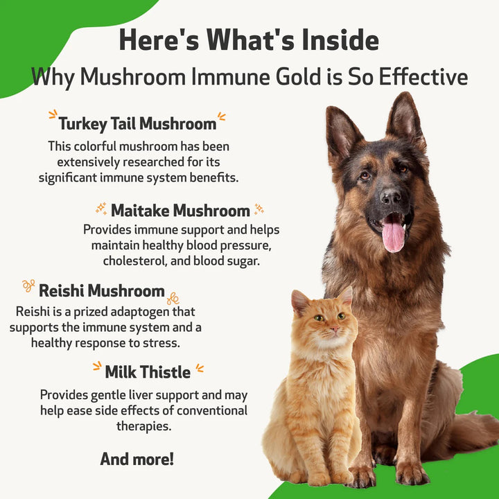 Pet Wellbeing - Mushroom Immune Gold - Holistic Cancer Support (8fl oz / 236ml)