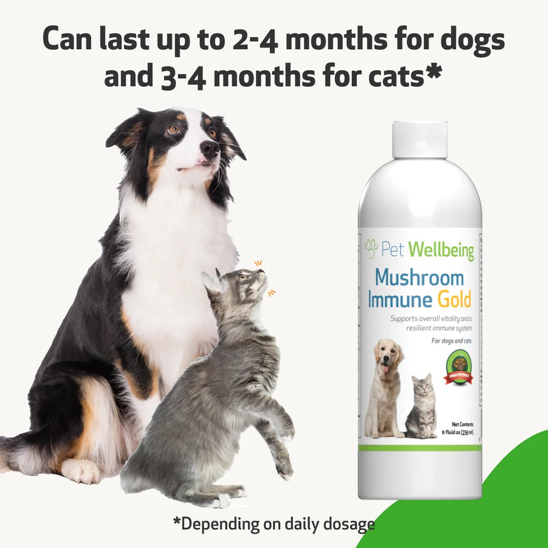 Pet Wellbeing - Mushroom Immune Gold - Holistic Cancer Support (8fl oz / 236ml)