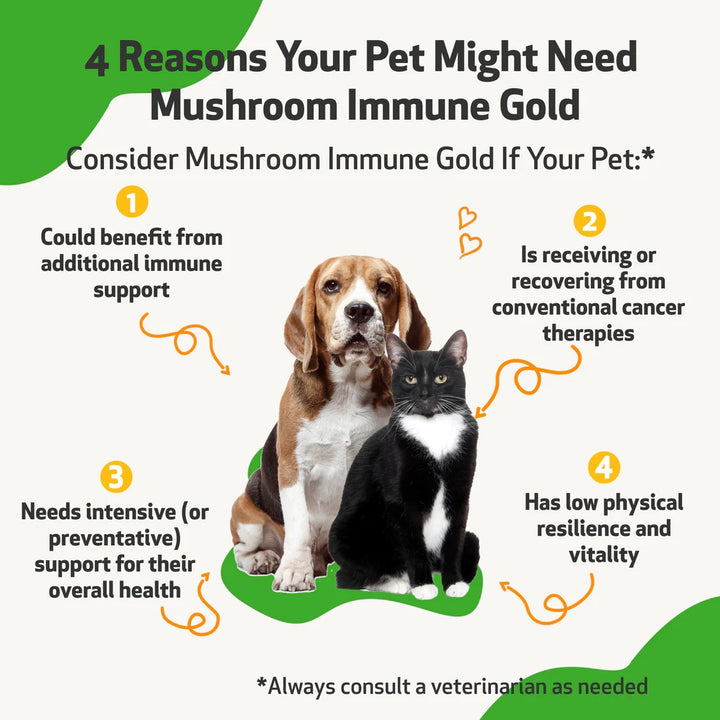 Pet Wellbeing - Mushroom Immune Gold - Holistic Cancer Support (8fl oz / 236ml)