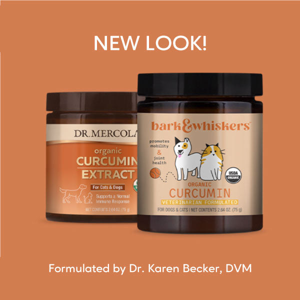 Dr. Mercola | Bark & Whiskers™ Organic Curcumin for Dogs & Cats (75g)