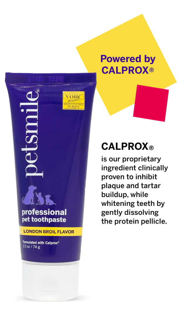 Petsmile Professional Pet Toothpaste - London Broil Flavor