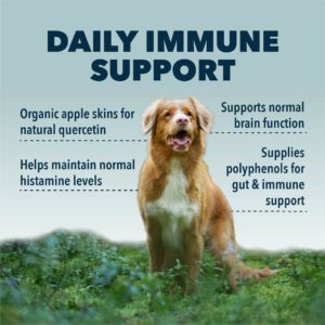 Four Leaf Rover RED ROVER - Organic Berries For Dogs (76.5g)