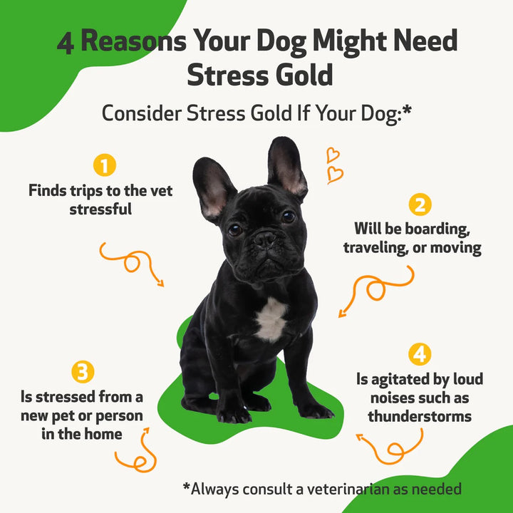 Pet Wellbeing - Stress Gold - for High Stress Situations in Cats & Dogs (2 oz / 59ml)