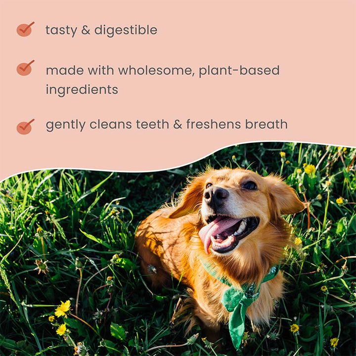Bark & Whiskers® Veggie Dental Chew Bones (15 chews, 415g)