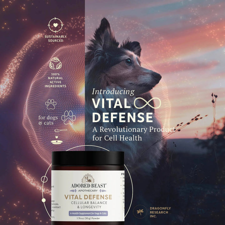 Adored Beast Vital Defense - Cellular Support for Dogs and Cats (50g)