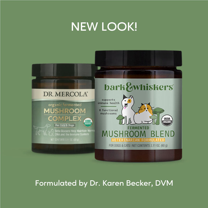 Dr. Mercola | Bark & Whiskers™ Organic Fermented Mushroom Blend for Cats & Dogs (60g)