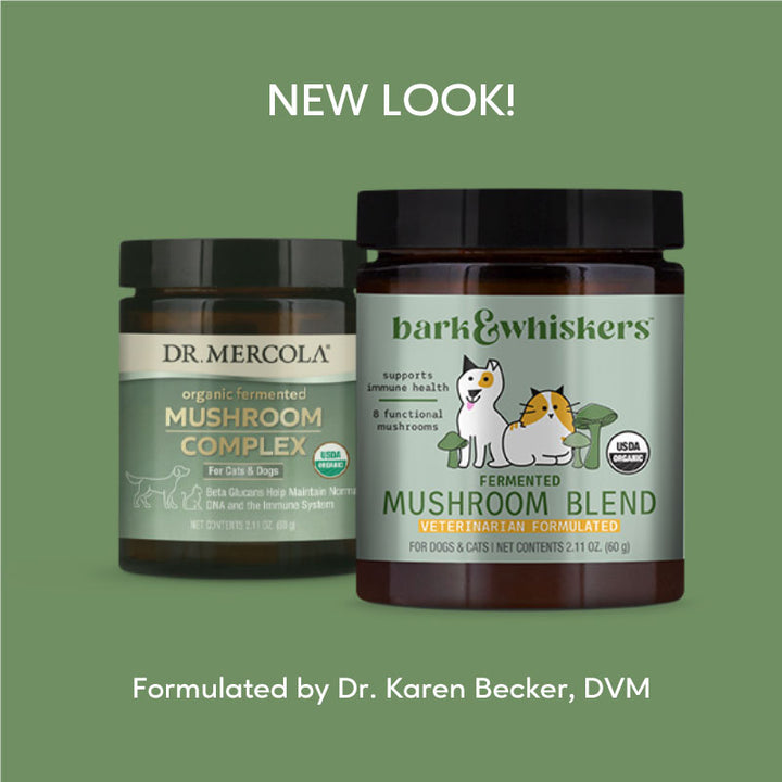 Dr. Mercola | Bark & Whiskers™ Organic Fermented Mushroom Blend for Cats & Dogs (60g)
