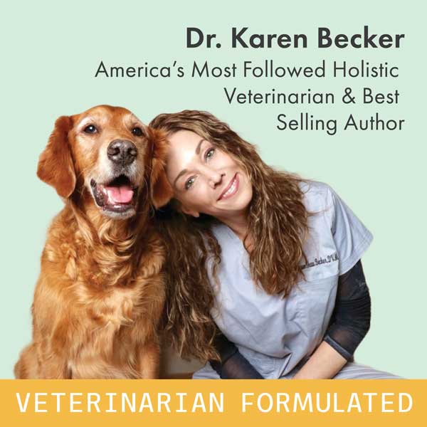 Dr. Mercola | Bark & Whiskers™ Eye Support for Pets, Cats & Dogs (162g)