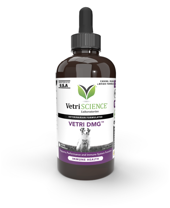 VetriScience® - Vetri DMG™ Liquid - Immune system, liver metabolism, stamina and muscle recovery support