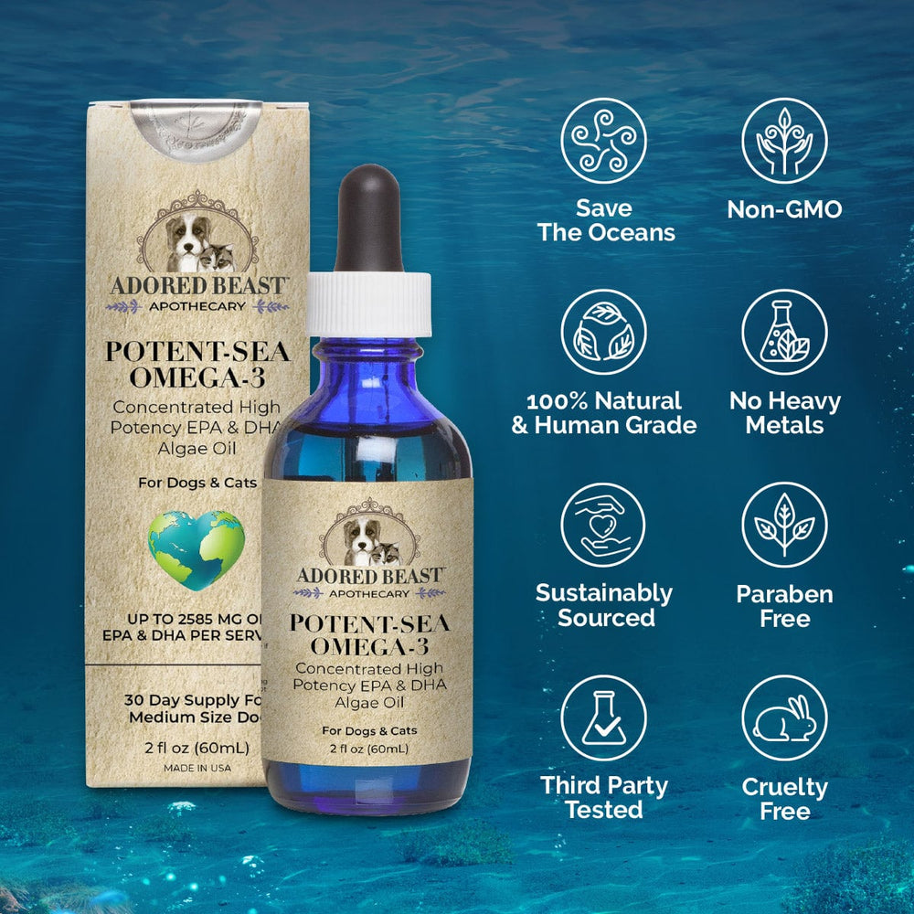 ABA Potent Sea Features