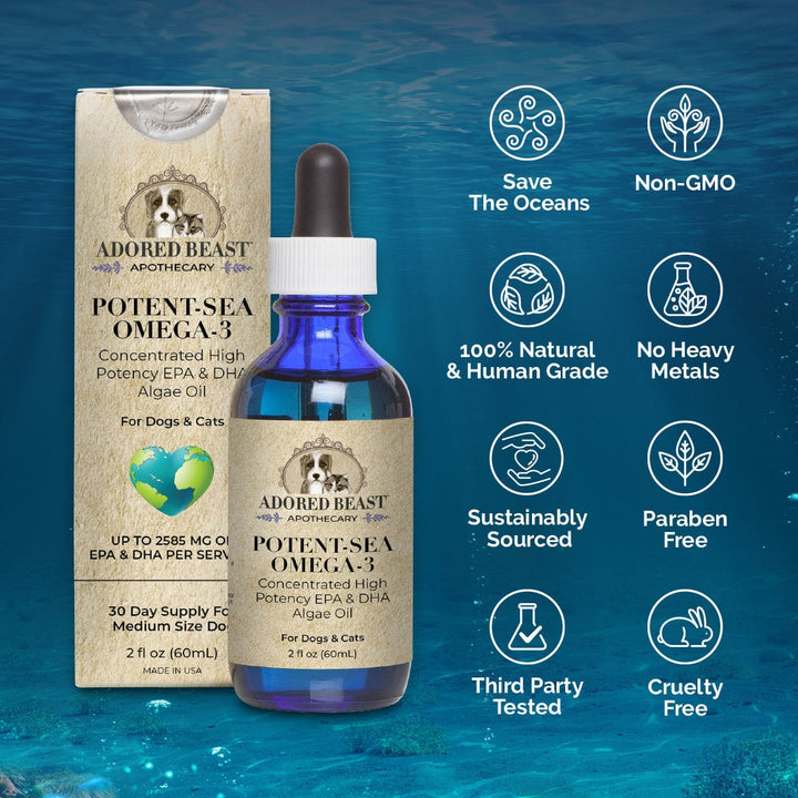 ABA Potent Sea Features