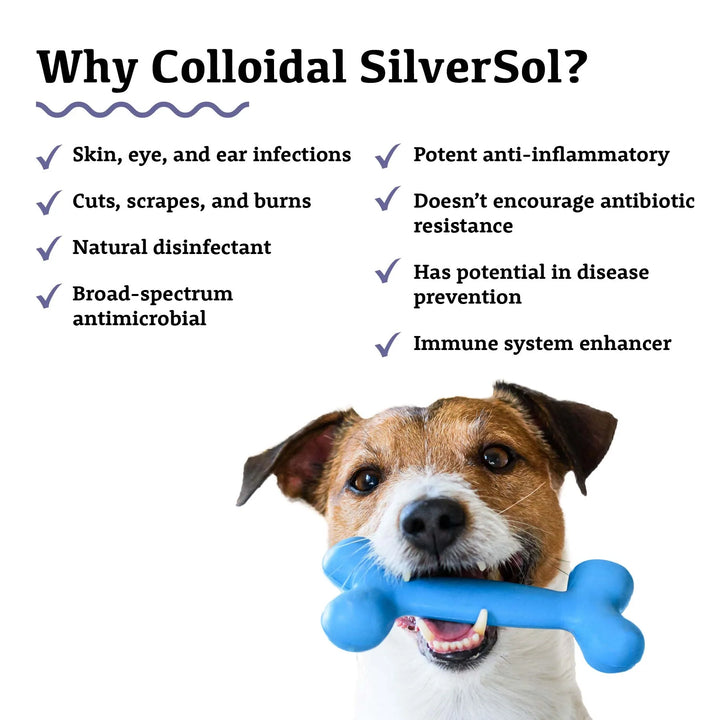Adored Beast Colloidal Silversol (60ml) for Dogs & Cats