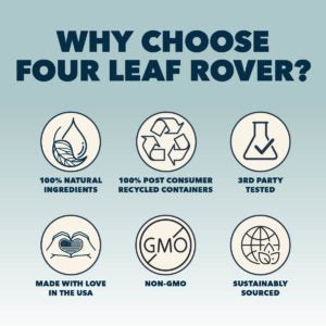 Four Leaf Rover RED ROVER - Organic Berries For Dogs (76.5g)