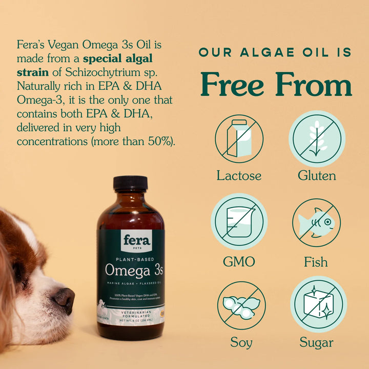Fera Pets Vegan Omega-3, 6, 9s Algae Oil (8oz / 236.5ml)