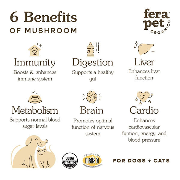 FRA_Mushroom_benefits_600x600px_edited