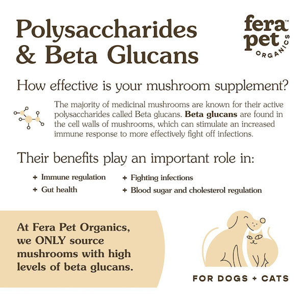 FRA_Mushroom_beta_glucans_600x600px_edited