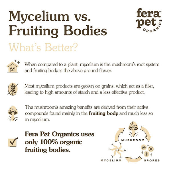 FRA_Mushroom_fruiting_body_600x600px_edited